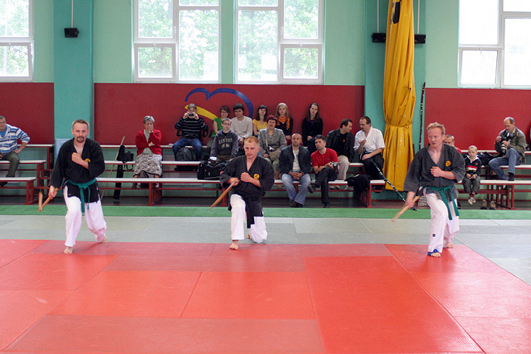 POKAZY KOBUDO, "DZIEŃ KWITNĄCEJ WIŚNI" BYTOM, maj 2009