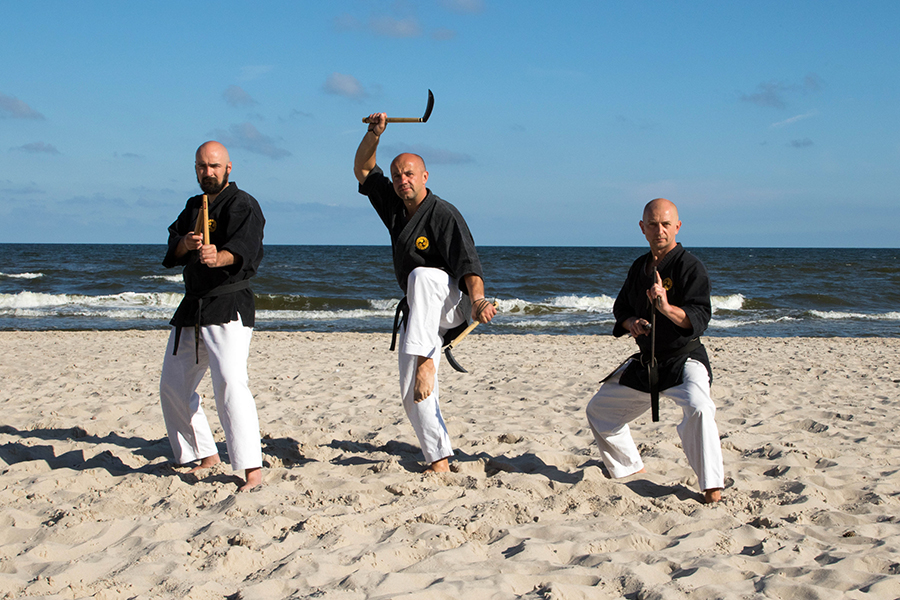 LETNIA AKADEMIA KARATE I KOBUDO, POGORZELICA 2018
