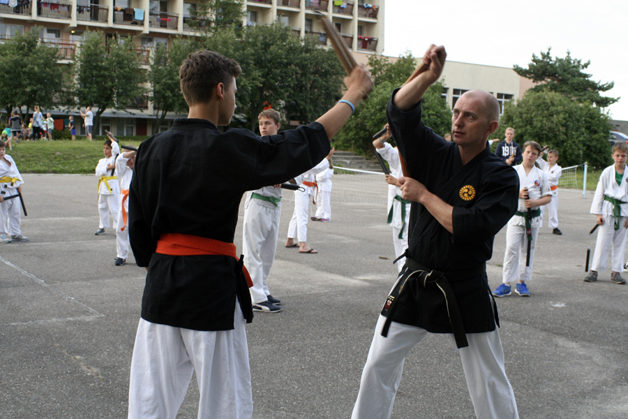 LETNIA AKADEMIA KARATE I KOBUDO, JASTRZĘBIA GÓRA 2016