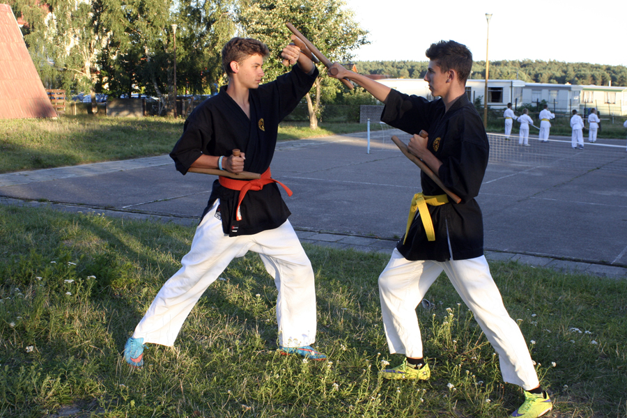 LETNIA AKADEMIA KARATE I KOBUDO, JASTRZĘBIA GÓRA 2016