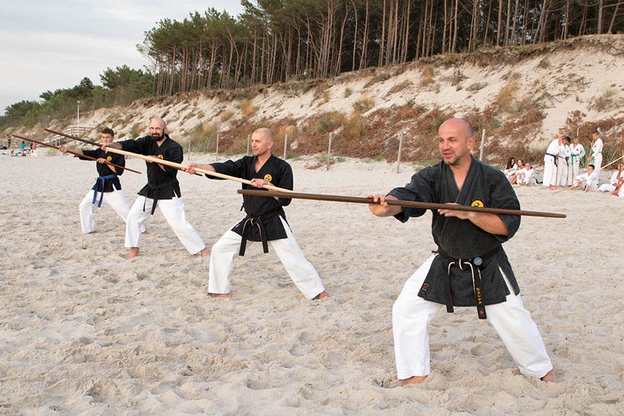 LETNIA AKADEMIA KARATE I KOBUDO, POGORZELICA 2018