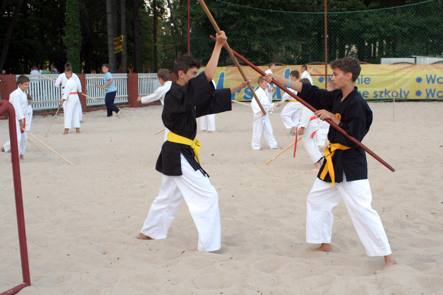 LETNIA AKADEMIA KARATE I KOBUDO DARŁÓWKO 2015