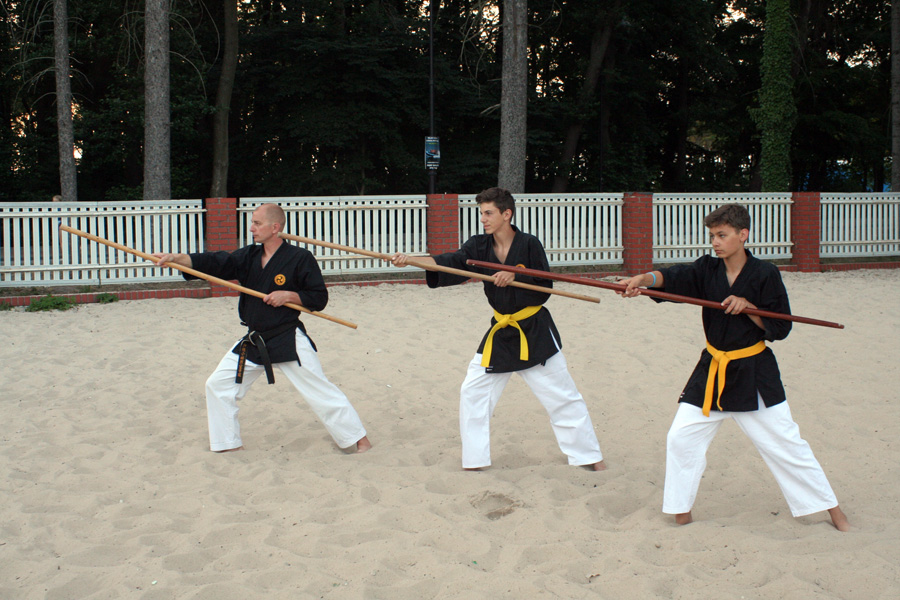 LETNIA AKADEMIA KARATE I KOBUDO DARŁÓWKO 2015