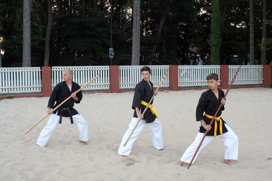 LETNIA AKADEMIA KARATE I KOBUDO DARŁÓWKO 2015