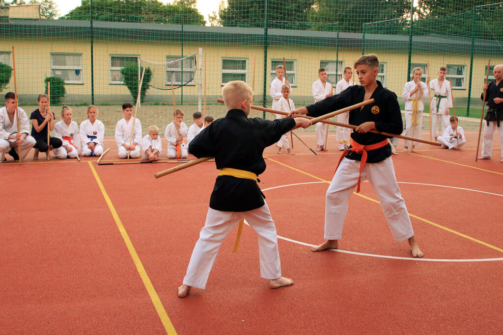 LETNIA AKADEMIA KARATE I KOBUDO, MIKOSZEWO 2020