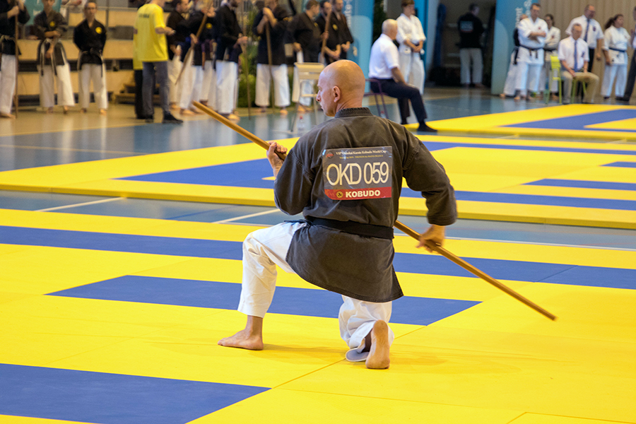 SHORIN-RYU CUP, THONON Les BAINS, FRANCJA, 3-4.08.2019.