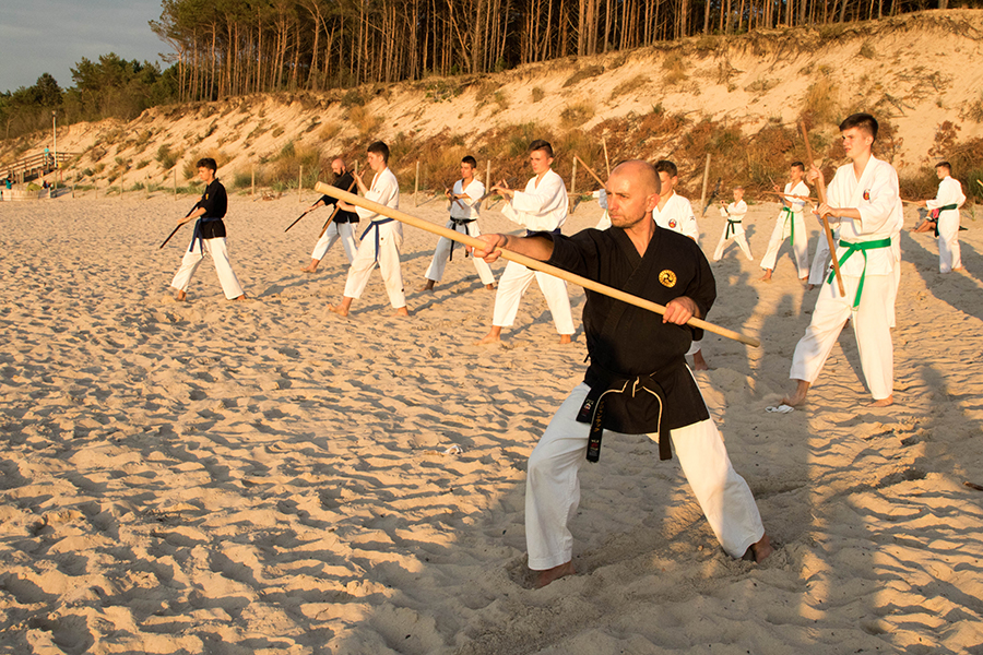LETNIA AKADEMIA KARATE I KOBUDO, POGORZELICA 2018