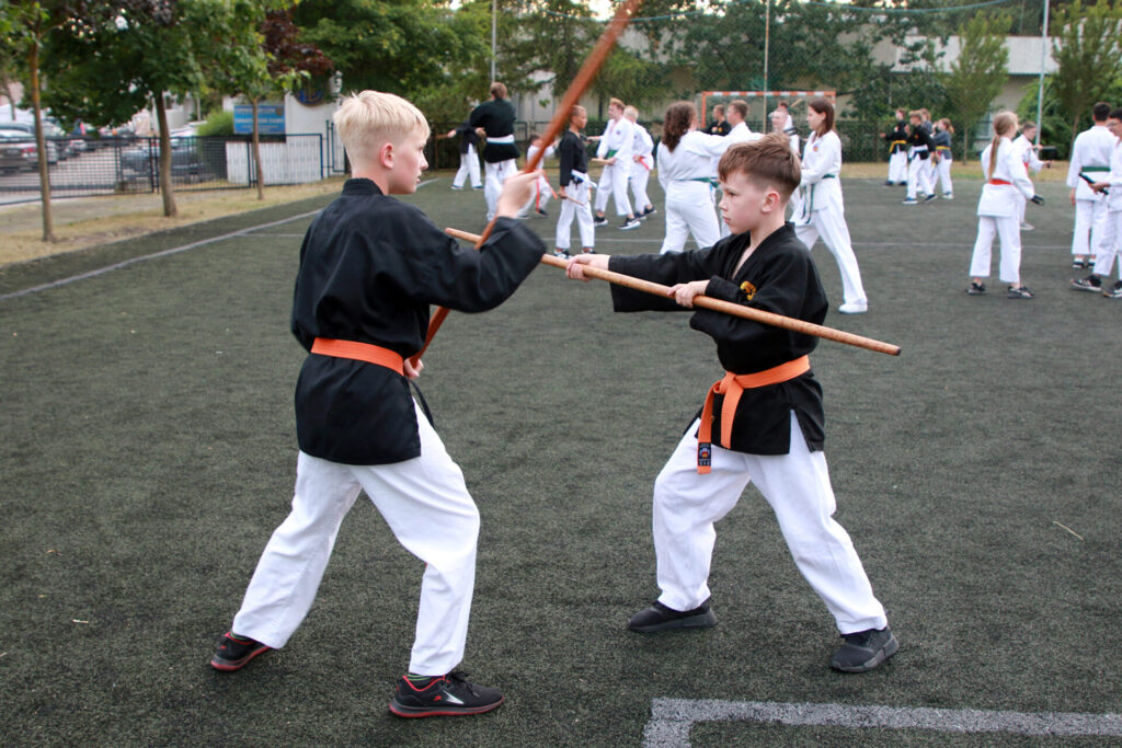 LETNIA AKADEMIA KARATE I KOBUDO, DĄBKI 2025