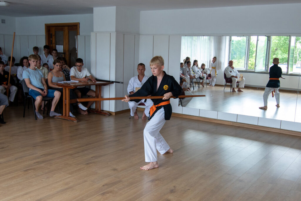 LETNIA AKADEMIA KARATE I KOBUDO, DĄBKI 2025