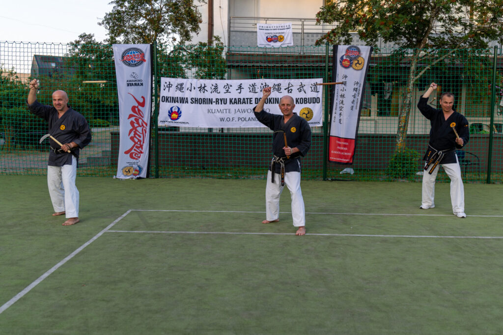 LETNIA AKADEMIA KARATE I KOBUDO, DĄBKI 2026