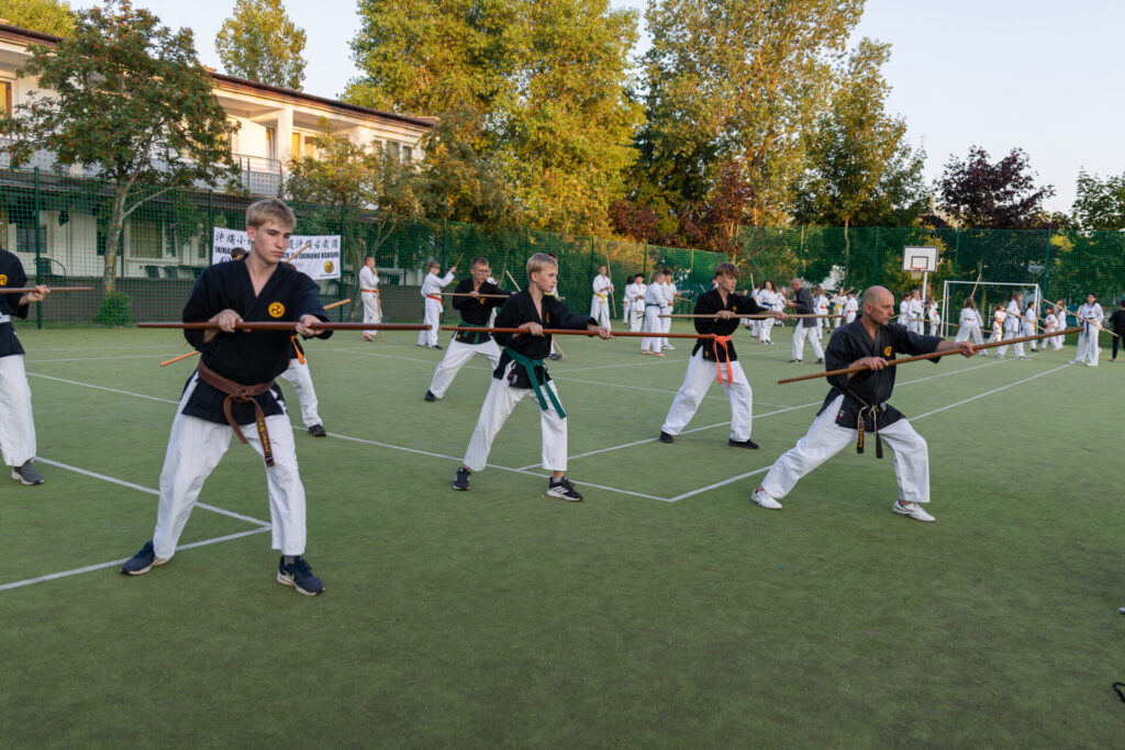 LETNIA AKADEMIA KARATE I KOBUDO, DĄBKI 2026